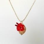 Fanart- Peek-a-boo Crab -gifts For Women And..